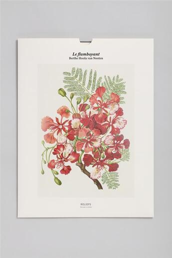 Couverture du livre « Flamboyant » de Berthe Hoola Van Nooten aux éditions Reliefs Editions