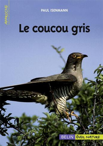 Couverture du livre « Le coucou gris » de Paul Isenmann aux éditions Belin