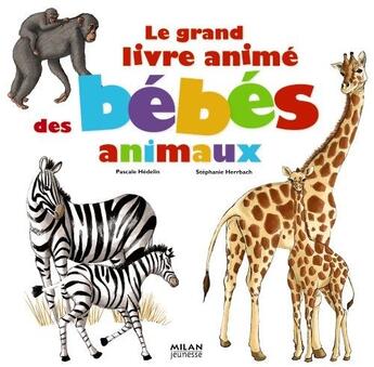 Couverture du livre « Le grand livre animé des bébés animaux » de Pascale Hédelin et Stephanie Herrbach aux éditions Milan