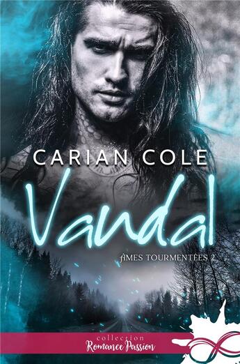 Couverture du livre « Âmes tourmentées Tome 2 : vandal » de Carian Cole aux éditions Collection Infinity