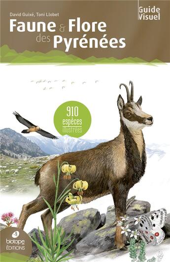 Couverture du livre « Faune et flore des Pyrénées ; 910 espèces illustrées » de Toni Llobet et David Guixe aux éditions Biotope
