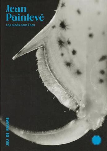 Couverture du livre « Jean Painlevé : les pieds dans l'eau » de Pia Viewing et Eve Lepaon et Sergi Alvarez Riosalido aux éditions Jeu De Paume