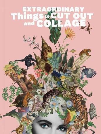 Couverture du livre « Extraordinary things to cut out and collage » de Rivans Maria aux éditions Laurence King