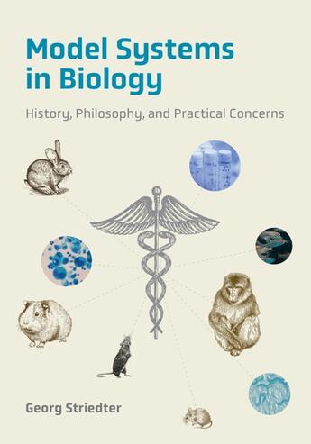 Couverture du livre « MODEL SYSTEMS IN BIOLOGY - HISTORY, PHILOSOPHY, AND PRACTICAL CONCERNS » de Georg Striedter aux éditions Mit Press