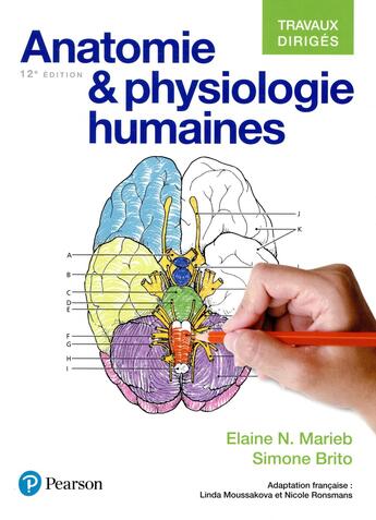 Couverture du livre « Anatomie & physiologie humaines : travaux dirigés (12e édition) » de Elaine N. Marieb et Simone Brito aux éditions Pearson