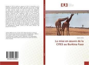 Couverture du livre « La mise en oeuvre de la cites au burkina faso » de Sinka Seydou aux éditions Editions Universitaires Europeennes