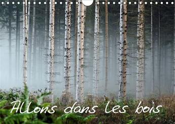 Couverture du livre « Allons dans les bois calendrier mural 2020 din a4 horizontal - la foret au travers des saison » de Guffanti Daniel aux éditions Calvendo