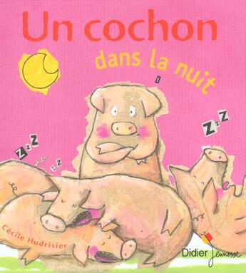 Couverture du livre « Un Cochon Dans La Nuit » de Cecile Hurdrisier aux éditions Didier