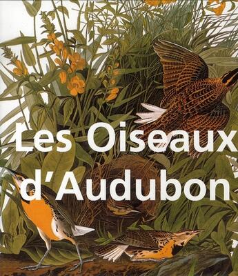 Couverture du livre « Les oiseaux d'Audubon » de John-James Audubon aux éditions Parkstone International