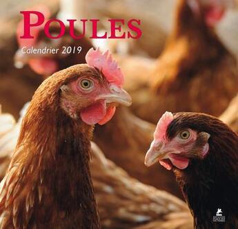 Couverture du livre « Calendrier poules (édition 2019) » de  aux éditions Place Des Victoires