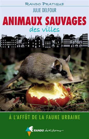Couverture du livre « Animaux sauvages des villes » de Julie Delfour aux éditions Rando