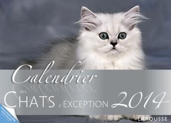 Couverture du livre « Calendrier des chats d'exception 2014 » de C Maillet aux éditions Larousse