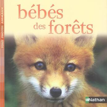 Couverture du livre « Bebes des forets » de  aux éditions Nathan