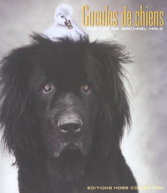 Couverture du livre « Gueules De Chien » de Rachael Hale aux éditions Hors Collection