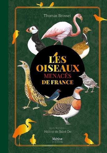 Couverture du livre « Les oiseaux menacés de France » de Thomas Brosset et Helene De Saint-Do aux éditions Metive