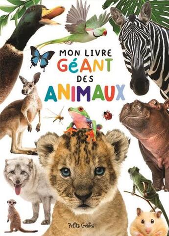 Couverture du livre « Mon livre géant des animaux » de Caroline Mcclish et Kim Huynh aux éditions Shoebox Media