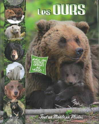 Couverture du livre « Tout un monde en photos ; les ours » de  aux éditions Piccolia