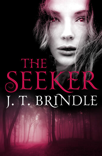 Couverture du livre « The Seeker » de Brindle J T aux éditions Head Of Zeus