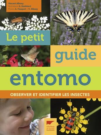 Couverture du livre « Le petit guide entomo ; observer et identifier les insectes » de Vincent Albouy aux éditions Delachaux & Niestle