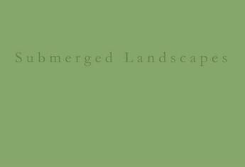 Couverture du livre « Submerged landscapes ; a pinhole photographic tale » de Martino Nicoletti aux éditions Le Loup Des Steppes