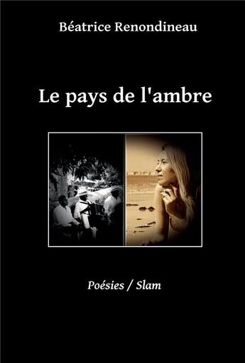 Couverture du livre « Le pays de l'ambre » de Renondineau Beatrice aux éditions Ipagination Editions