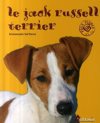 Couverture du livre « Jack russel terrier » de  aux éditions Artemis