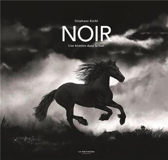 Couverture du livre « Noir : une histoire dans la nuit » de Stephane Kiehl aux éditions La Martiniere Jeunesse