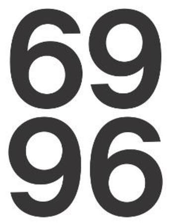 Couverture du livre « 69 / 96 » de Robert Nickas aux éditions Patrick Frey