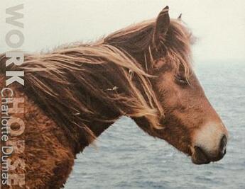 Couverture du livre « Charlotte Dumas ; work horse » de Charlotte Dumas aux éditions The Ice Plant