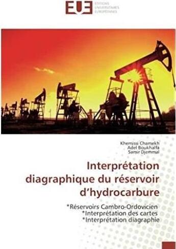 Couverture du livre « Interprétation diagraphique du réservoir d'hydrocarbure ; réservoirs cambro-ordovicien, interprétation des cartes, interprétation diagraphie » de Khemissi Chamekh aux éditions Editions Universitaires Europeennes