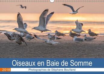 Couverture du livre « Oiseaux en baie de Somme, les oiseaux de la baie de Somme en action ! calendrier mural 2018 » de Stephane Bouilland aux éditions Calvendo