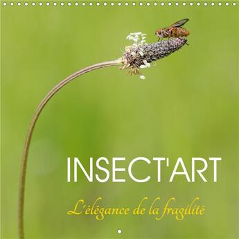 Couverture du livre « Insect'Art (Calendrier mural 2020 300 × 300 mm Square) ; Avec Insect'Art, découvrez chaque mois la beauté unique d'un insecte dans son environnement naturel (Calendrier mensuel, 14 Pages ) » de Djamal Makhloufi aux éditions Calvendo