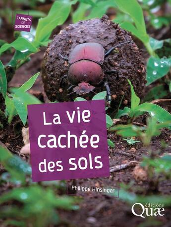 Couverture du livre « La vie cachée des sols » de Philippe Hinsinger aux éditions Quae