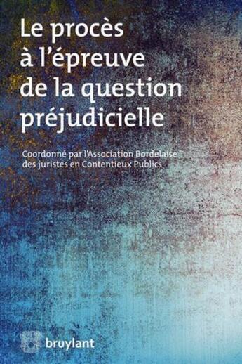 Couverture du livre « Le procés à l'épreuve de la question préjudicielle » de  aux éditions Bruylant