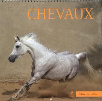 Couverture du livre « Chevaux ; calendriers 2016 » de  aux éditions Place Des Victoires