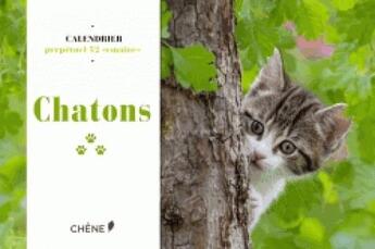 Couverture du livre « Calendrier 52 semaines chatons » de  aux éditions Chene