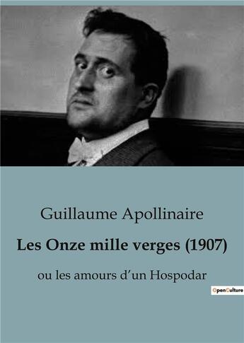 Couverture du livre « Les Onze mille verges (1907) : ou les amours d'un Hospodar » de Apollinaire G. aux éditions Culturea