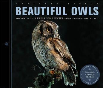 Couverture du livre « Beautiful owls » de Marianne Taylor aux éditions Ivy Press