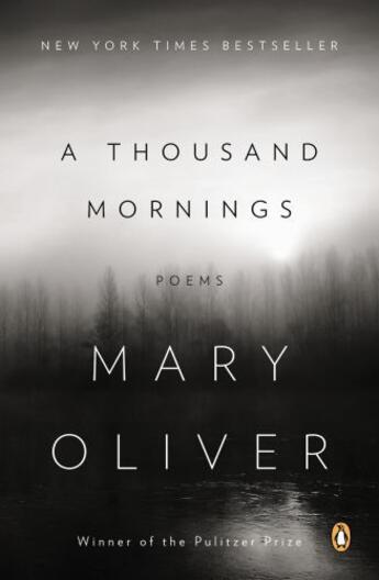 Couverture du livre « A Thousand Mornings » de Oliver Mary aux éditions Penguin Group Us