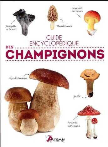 Couverture du livre « Guide encyclopédique des champignons » de Polese Jm aux éditions Artemis