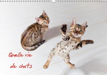 Couverture du livre « Chats et chatons calendrier me » de Dardenne Christ aux éditions Calvendo