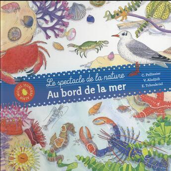 Couverture du livre « Au bord de la mer ; le spectacle de la nature » de Virginie Aladjidi et Caroline Pellissier et Emmanuelle Tchoukriel aux éditions Albin Michel