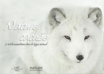 Couverture du livre « Nature cachée ; l'art du mimétisme dans le règne animal » de Anna Levin aux éditions White Star