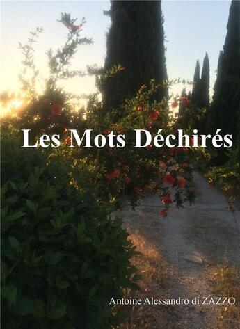 Couverture du livre « Les mots déchirés » de Antoine Di Zazzo aux éditions Librinova