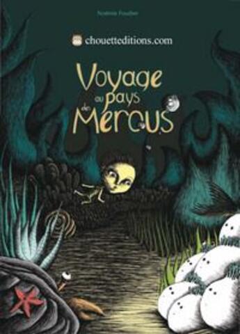 Couverture du livre « Voyage au pays de mérous » de Noemie Foucher aux éditions Chouetteditions.com