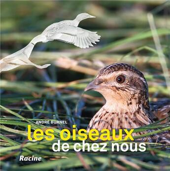 Couverture du livre « Les oiseaux de chez nous (2e édition) » de Andre Burnel aux éditions Lannoo