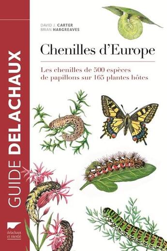 Couverture du livre « Chenilles d'Europe » de D.J. Carter et Brian Hargreaves aux éditions Delachaux & Niestle