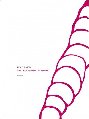 Couverture du livre « Les accidents d'ombre » de Lea Furnion aux éditions L'echappee Belle