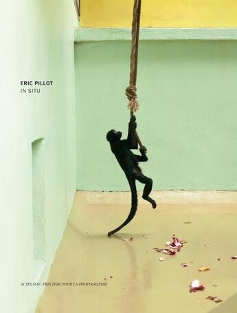 Couverture du livre « In situ » de Eric Pillot aux éditions Actes Sud