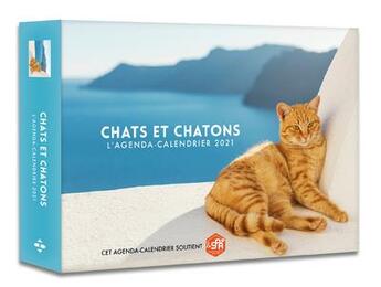 Couverture du livre « L'agenda-calendrier chats et chatons (édition 2021) » de  aux éditions Hugo Image